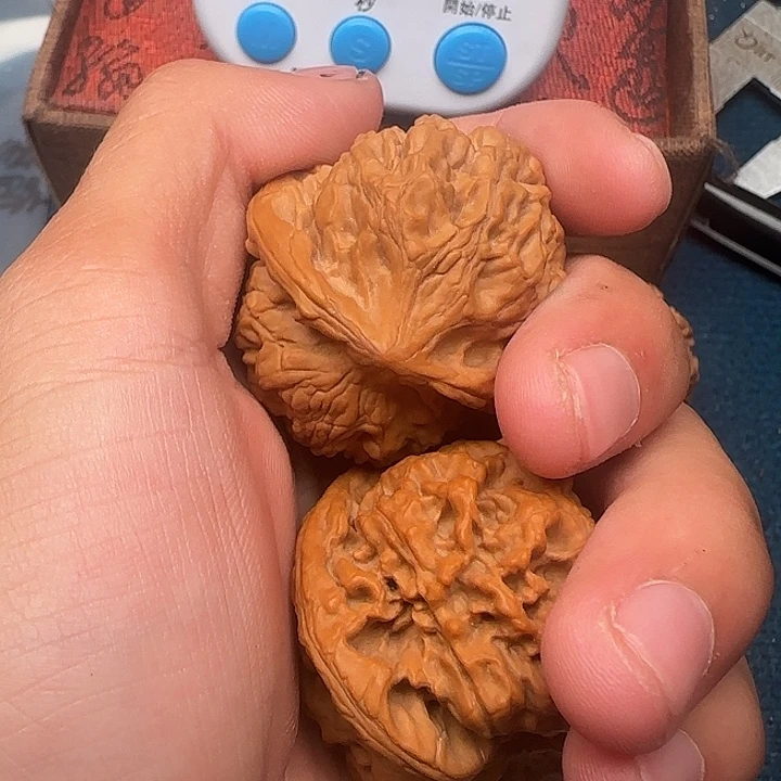 恩***佐哈哈哈哈哈哈哈哈哈哈