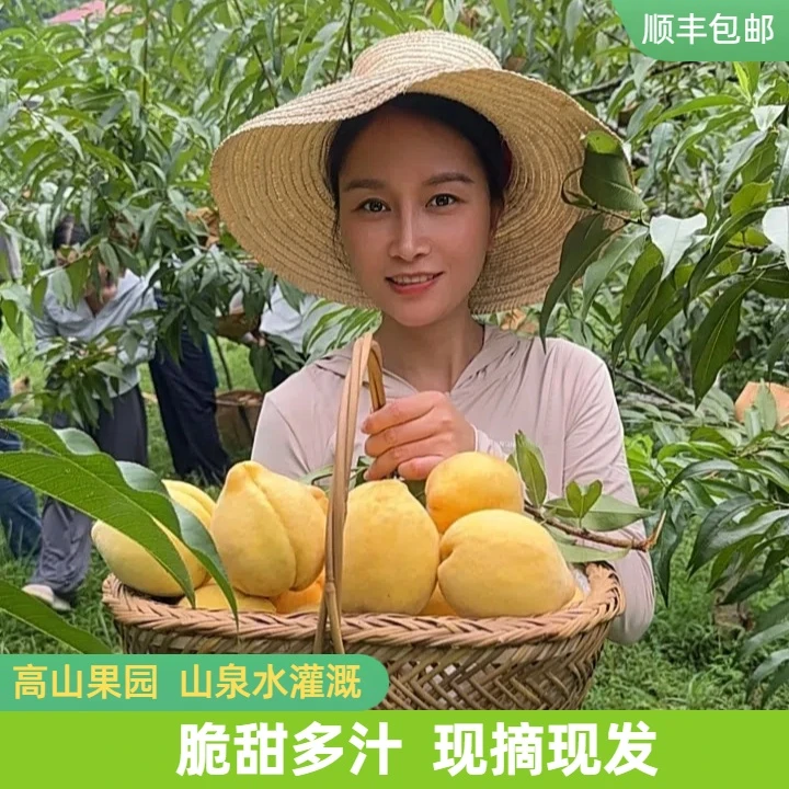 【满妹优选】新化黄桃高山鲜甜多汁当季水果产地直发