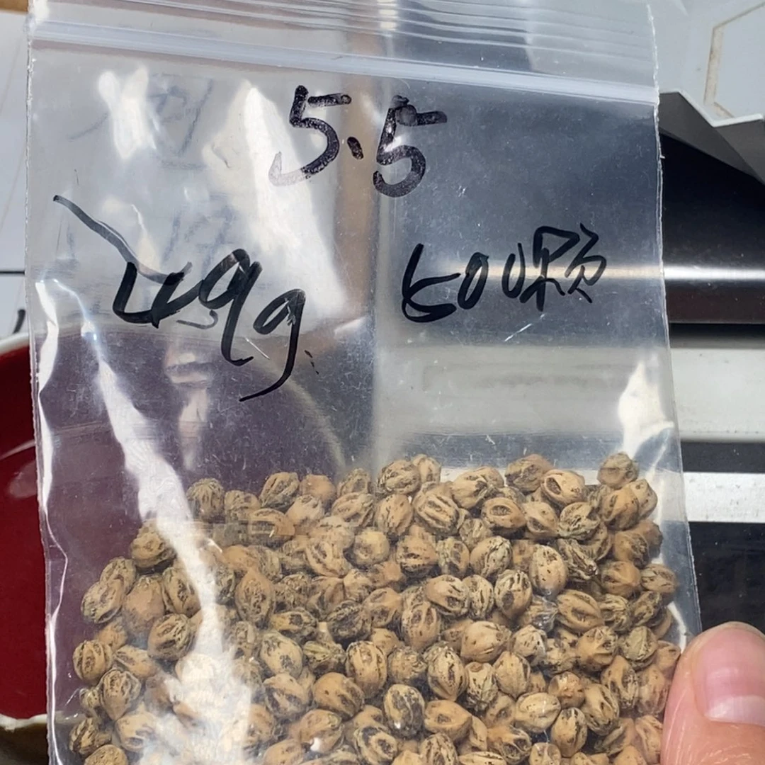 柏香籽/百香籽吊坠