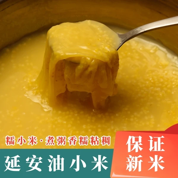 【2025年现碾新米】陕北黄小米早餐农家新米熬粥米油优质杂粮小米粥