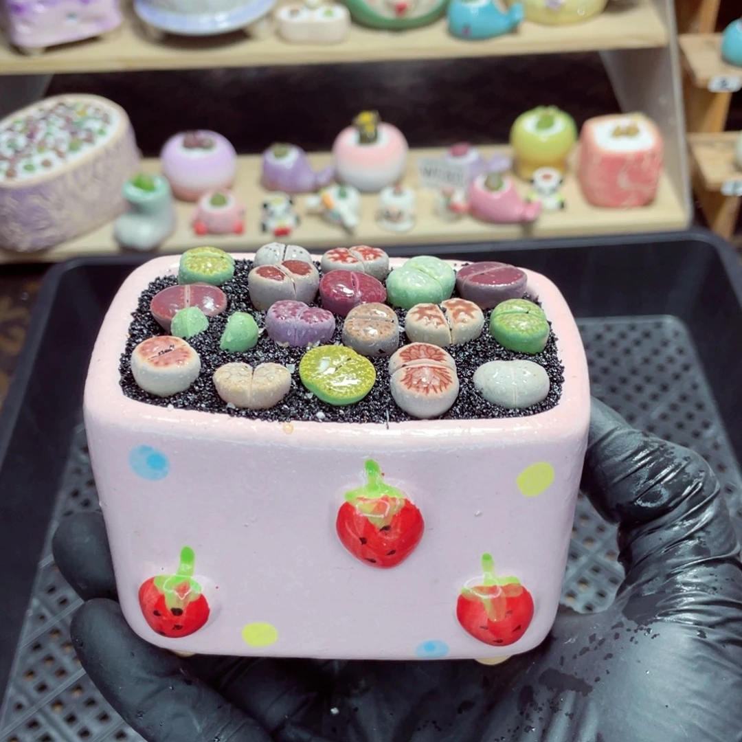 夜间零下地区拍保温箱w5338