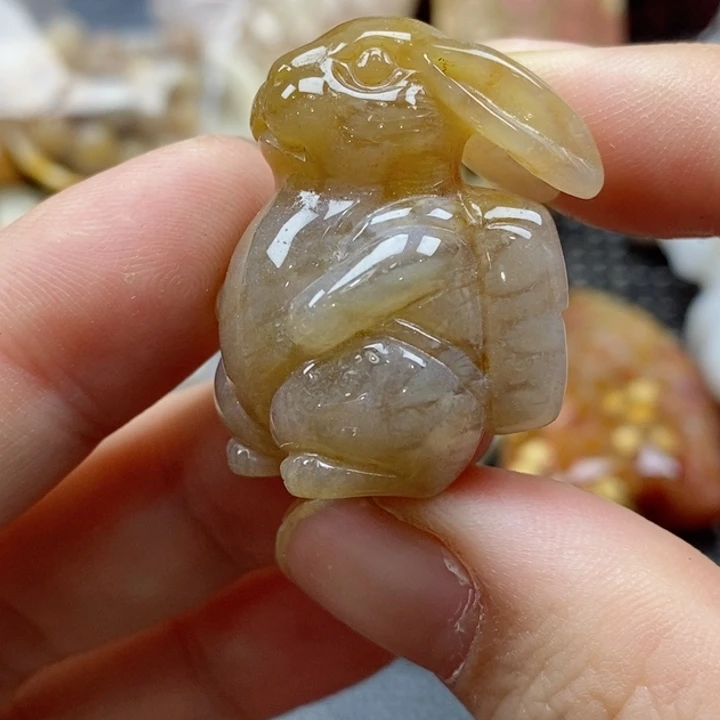 硅化珊瑚(珊瑚玉)颈饰未镶嵌