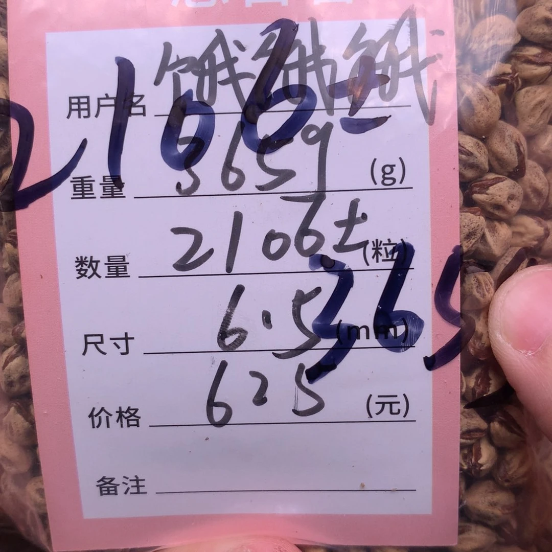 饿***饿热振柏香脖挂108散籽