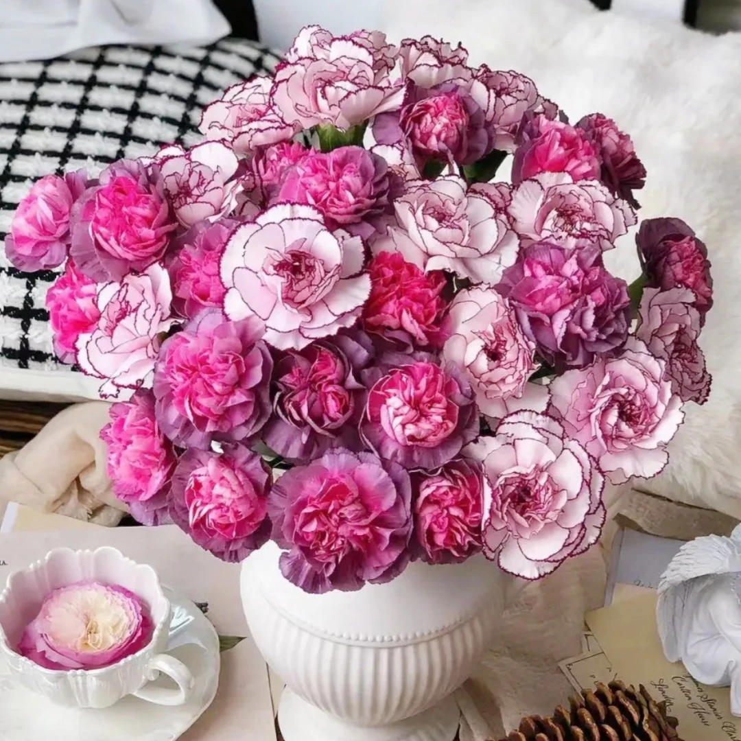 【花之物语】紫精灵+野马康乃馨 包邮