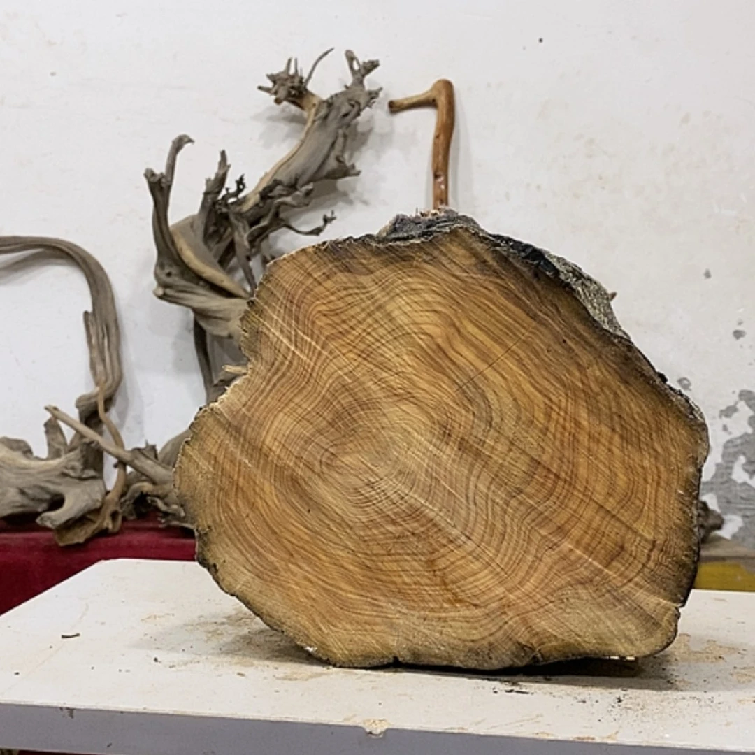 【闪购商品】柏木笑**川我们都是好孩子