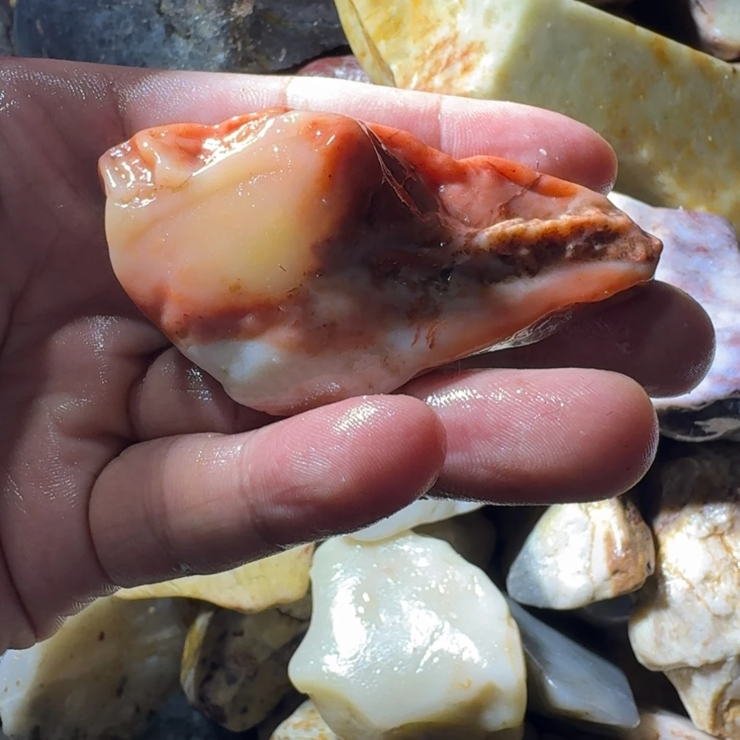 水***狐寿山石889888899888