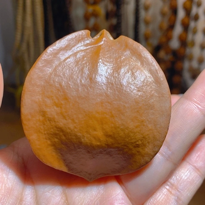 野生大橄榄核飞碟橄榄5260