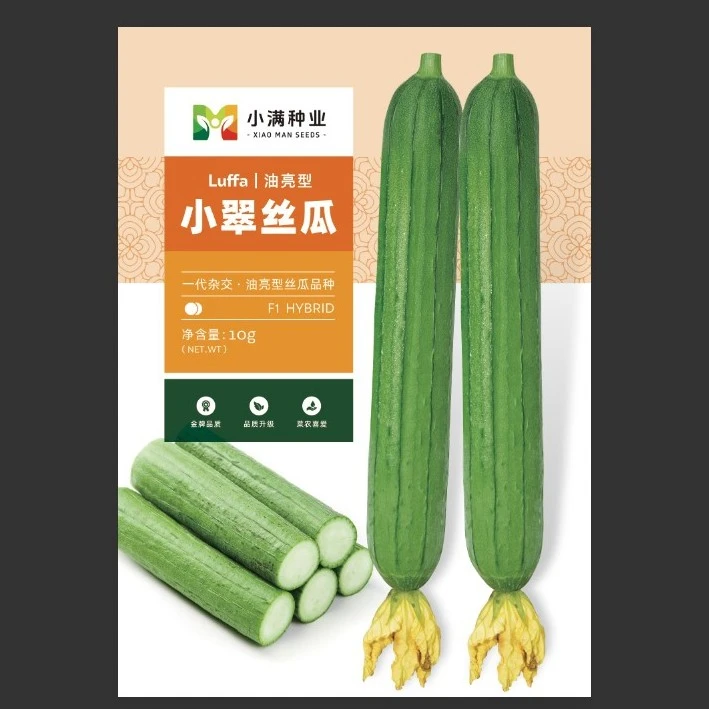 小翠油亮丝瓜–早熟，较耐寒，抗病能力强，座果力高，瓜色翠绿，口感好