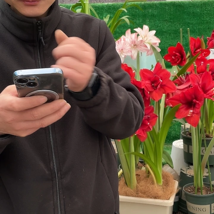 直播间高钾一瓶包邮