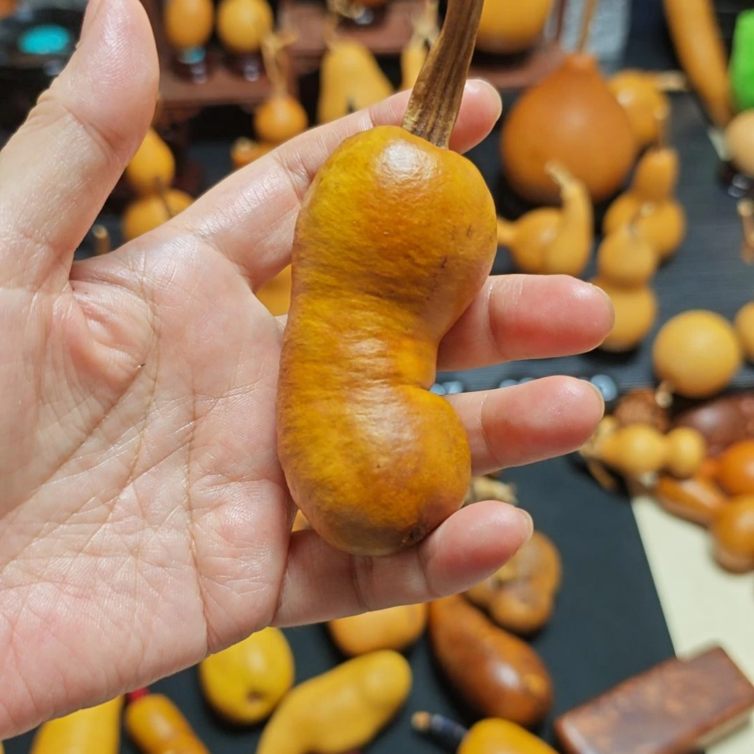 人***禾直播间链接葫芦葫芦