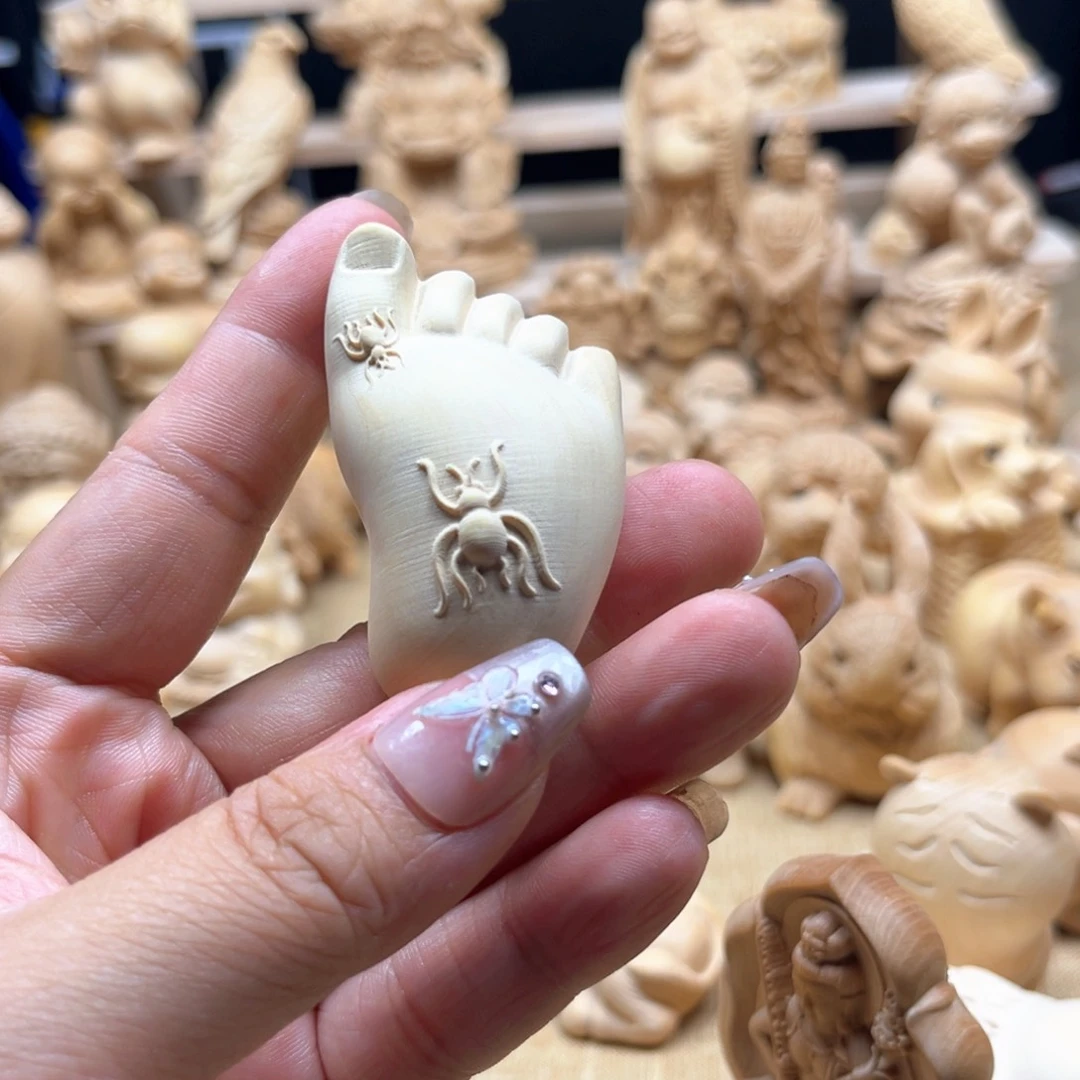 黄杨木大叶黄杨知足