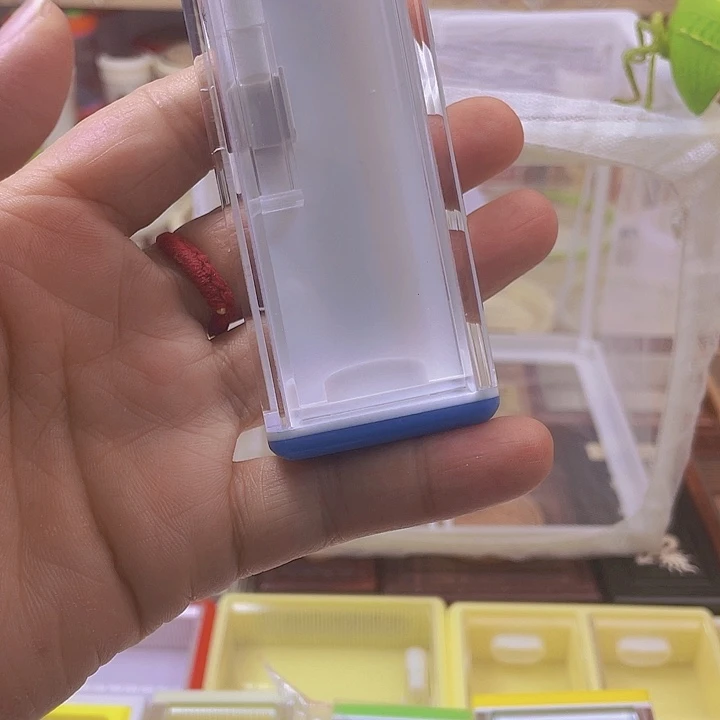 穿条鱼黄蛉盒送加湿器