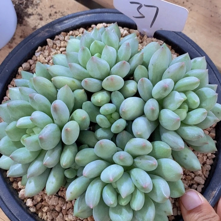 我要做自己爱你想爱