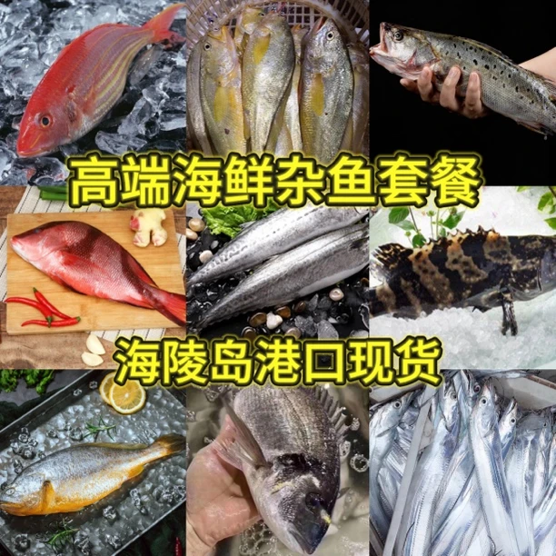 【高端海鲜杂鱼套餐A】4斤净重到手 广东阳江海陵岛发货