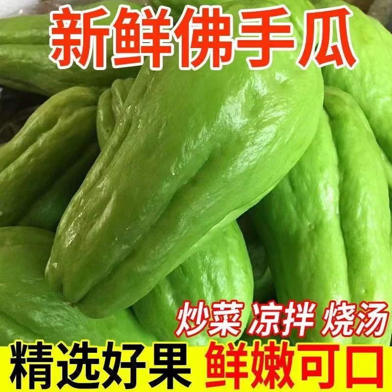 鲜嫩云南佛手瓜窝瓜捧瓜农家自种新鲜蔬菜老品种四季丰收煲汤佳品
