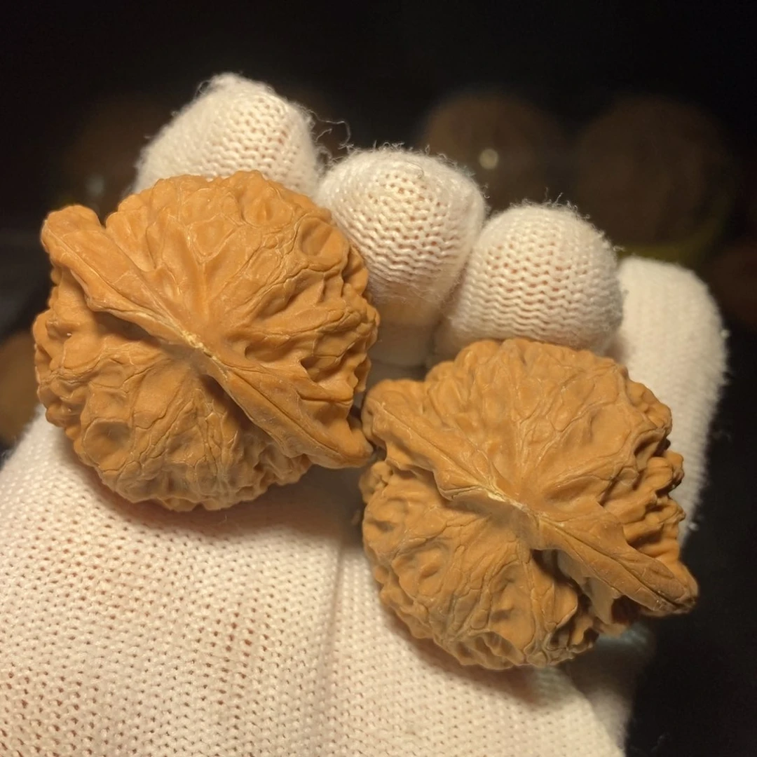 宫灯狮子头41尺精卡精配