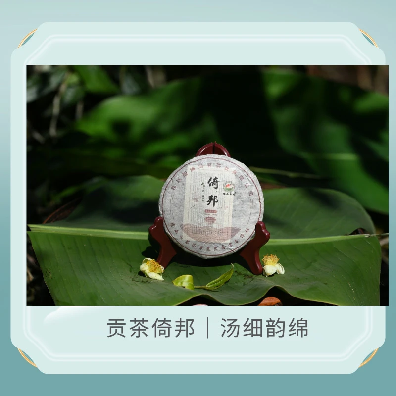 倚邦普洱生茶100g头春汤细韵绵