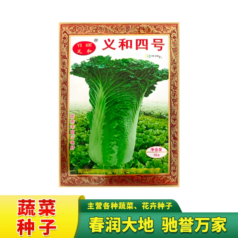 天津绿白菜种子75天青麻叶白菜籽绿叶绿帮秋播菜籽耐热白菜种子