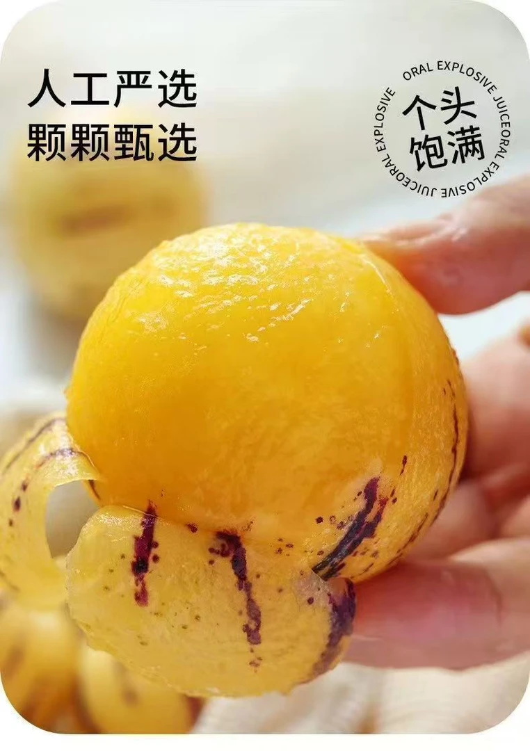 01云南石林树上熟黄肉圆果果新鲜清甜多汁应季水果