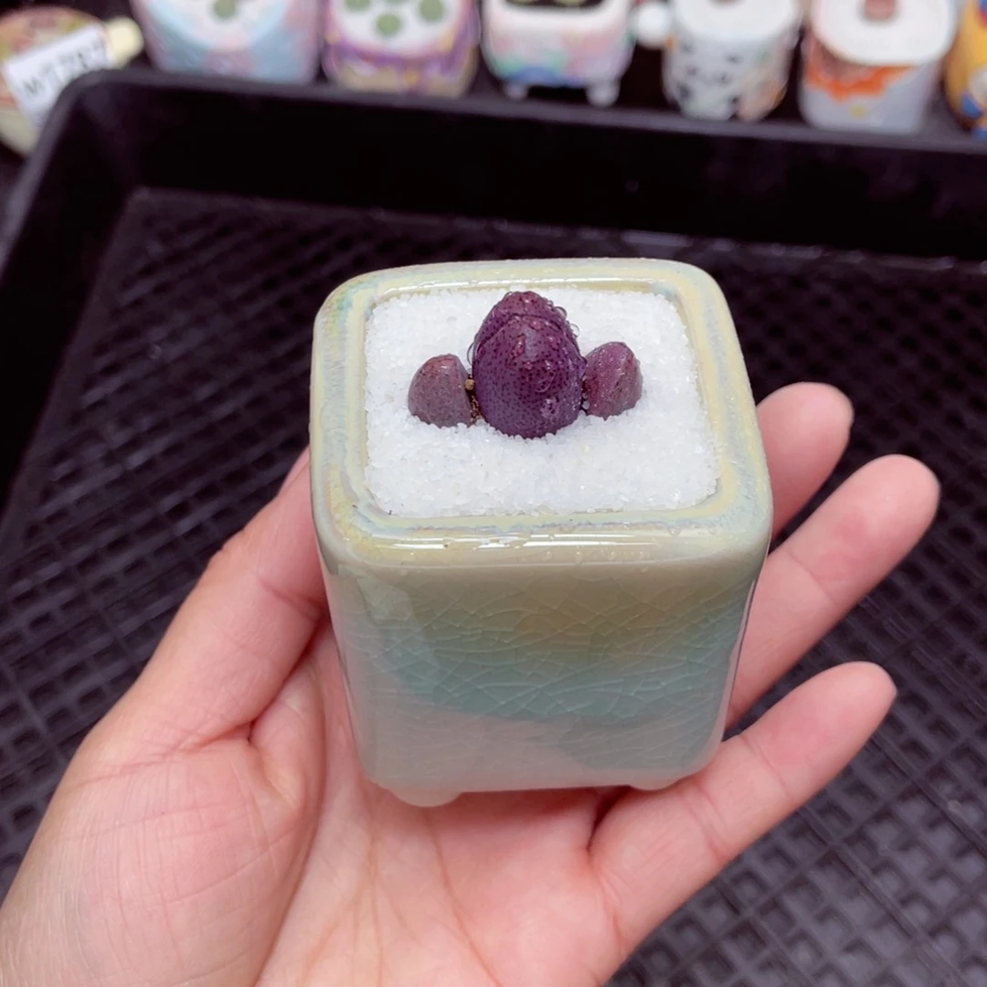 w1849 -零下地区拍保温箱-15支持寄养