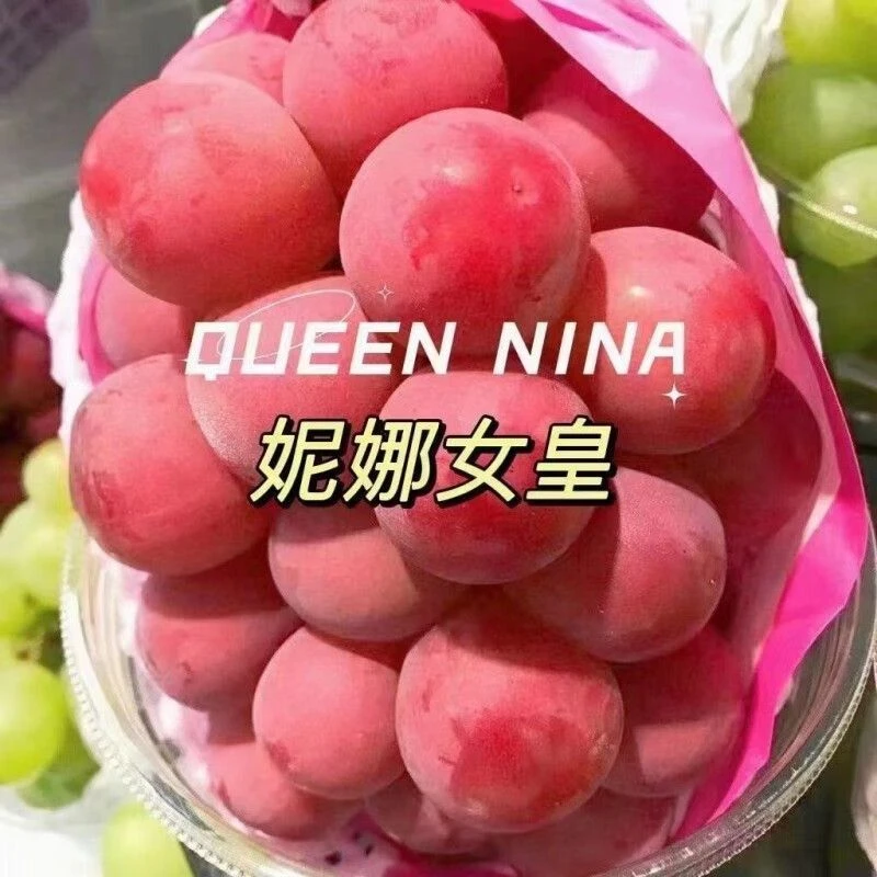 顺丰空运云南妮娜皇后葡萄女王无籽红宝石提子新鲜水果高档礼盒装