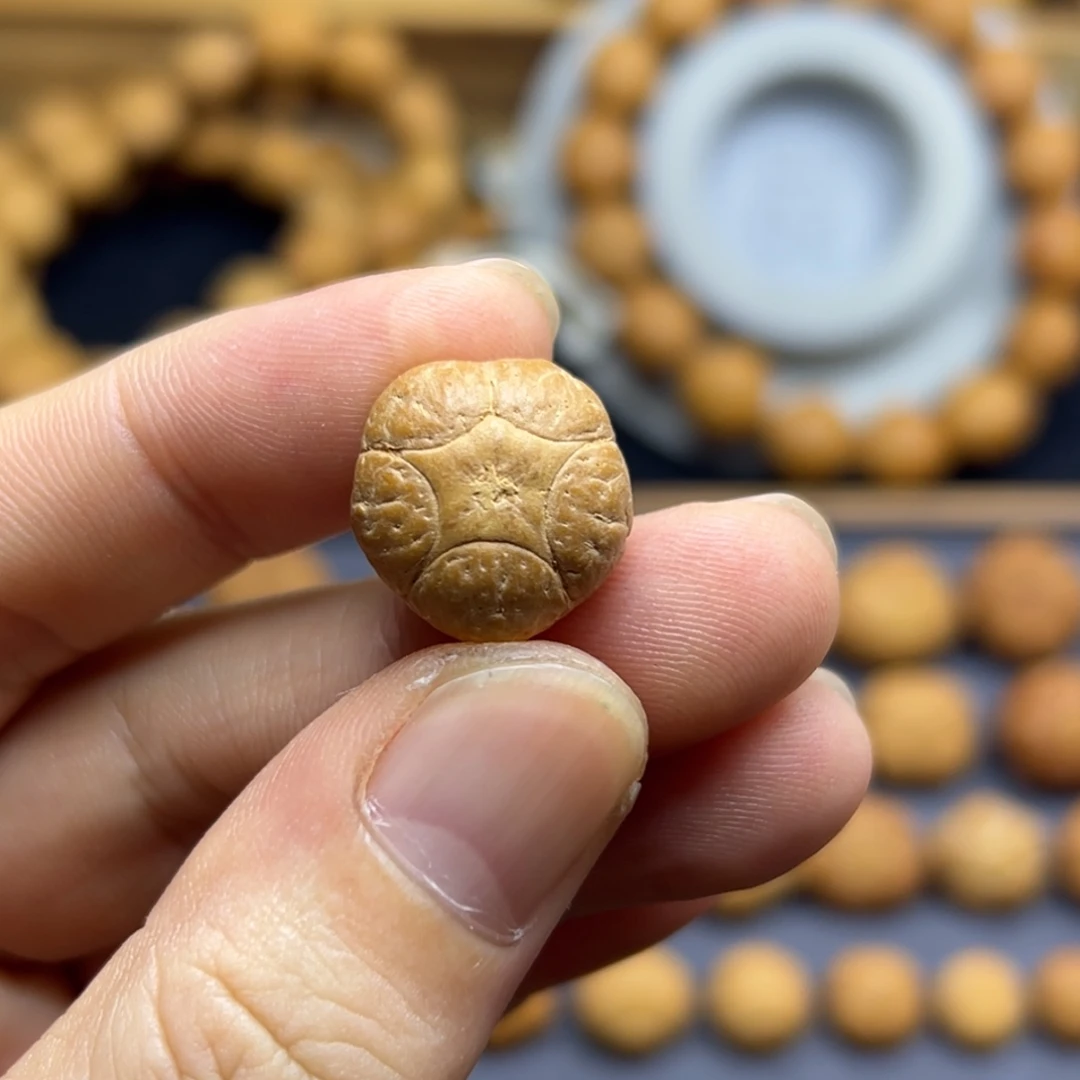 手串凤眼菩提16.9五星上将