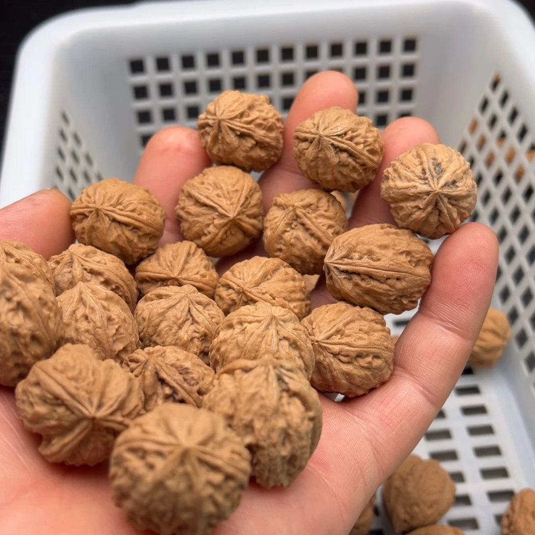 40粒定制打孔，定制商品不退不换