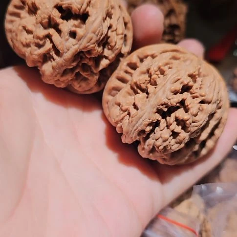 文玩核桃吊坠46.5粗筋