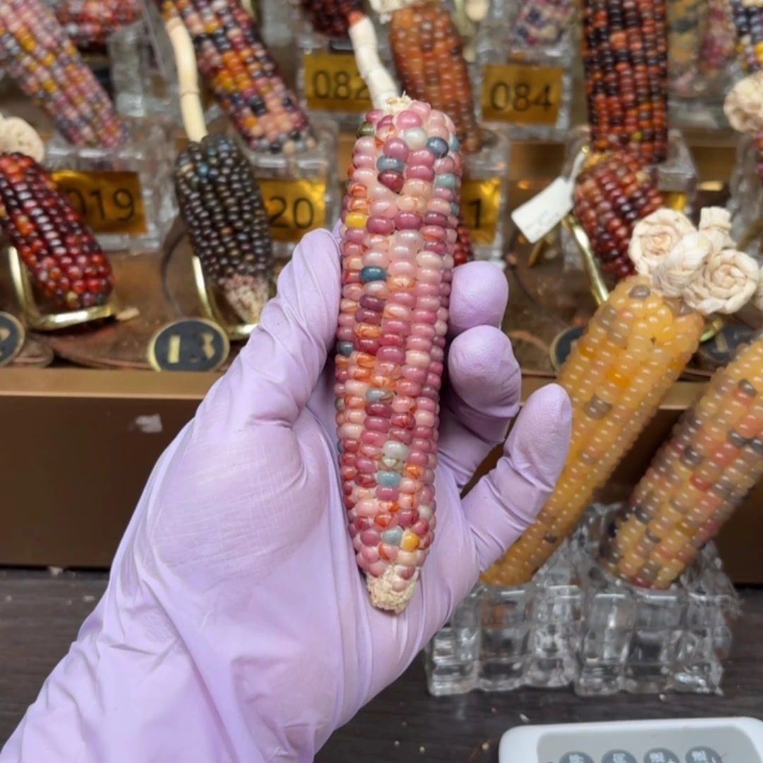 柏香籽/百香籽吊坠用****3