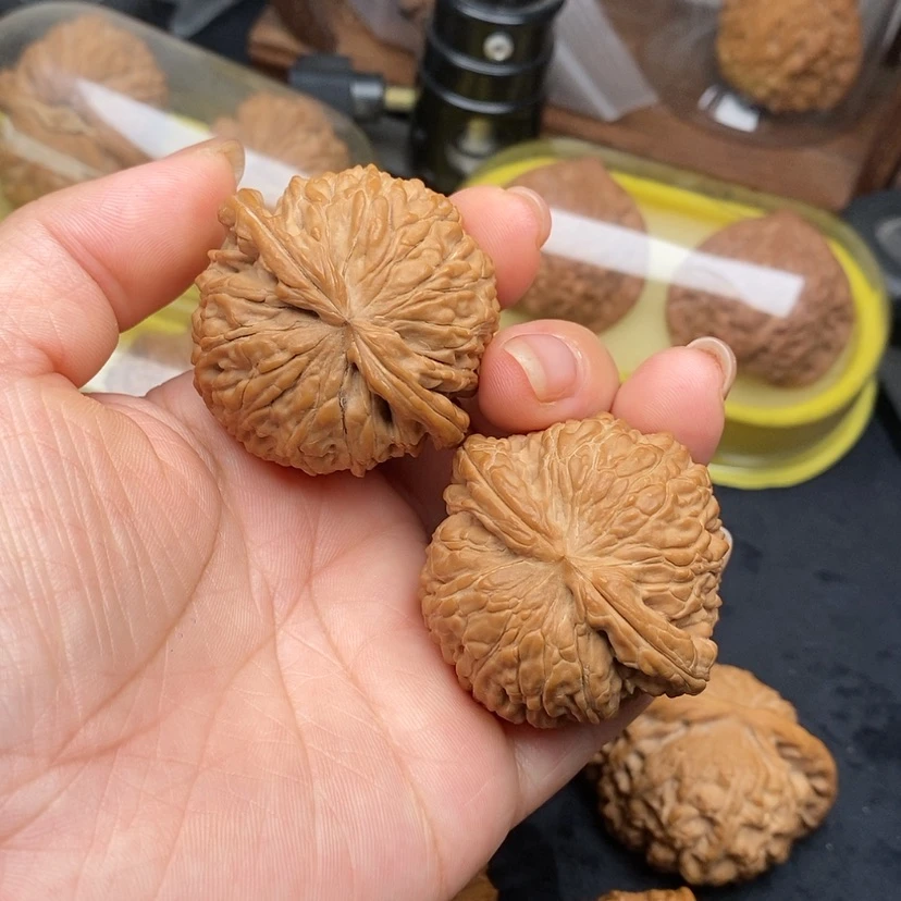 【闪购商品】桃核把件爆肉白狮子头45