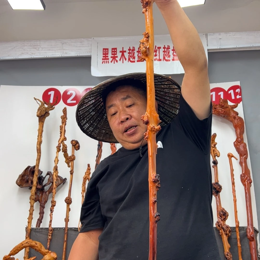 老***河黑果木其他黑果木032