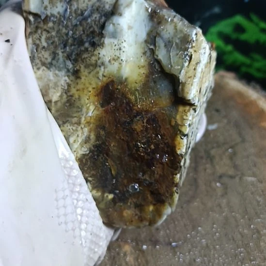 蛇纹石玉未镶嵌珠宝奇石