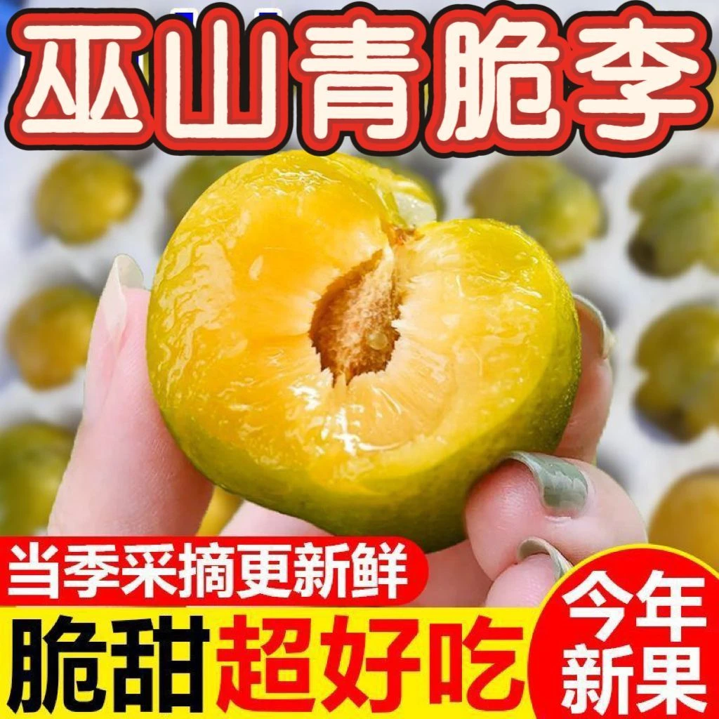 正宗重庆巫山脱骨脆李新鲜应季水果脆甜多汁