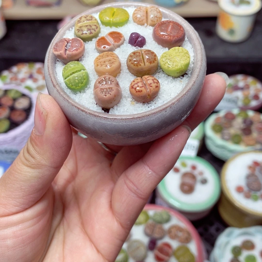 w1620 带盆土发货-零下地区拍保温箱