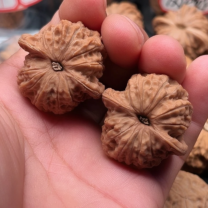 文玩核桃把件血麒麟38