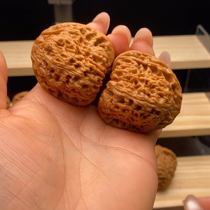 木质128 正庄小蚂蚁纹感染