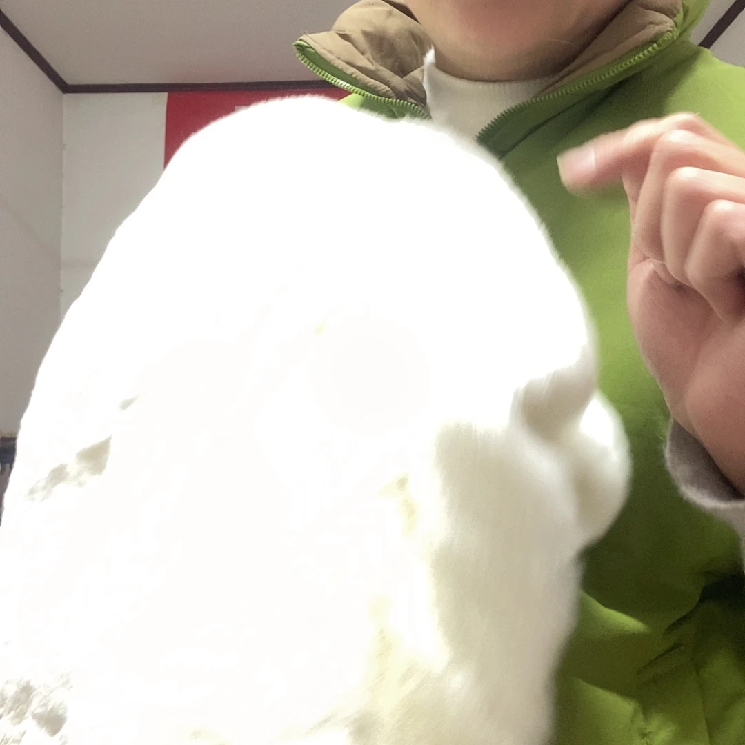 三醋酯纤维兔绒獭兔