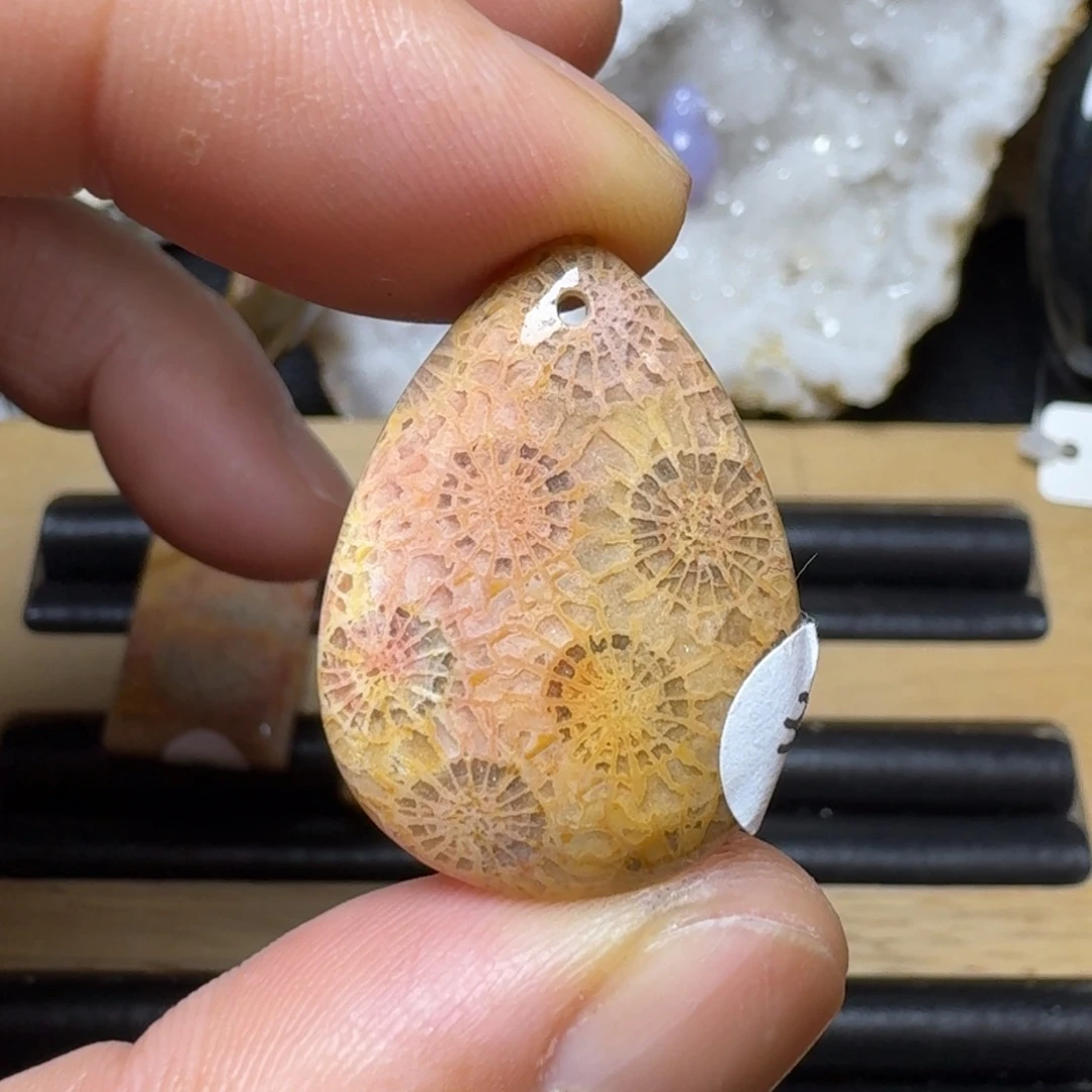 硅化玉小布点未镶嵌