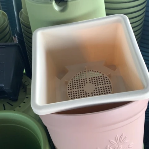 红陶俩***姥4个方米色球根，9个咖色托盘