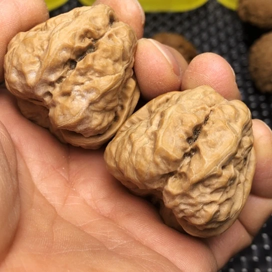 得***惹文玩核桃吊坠疙瘩蛙