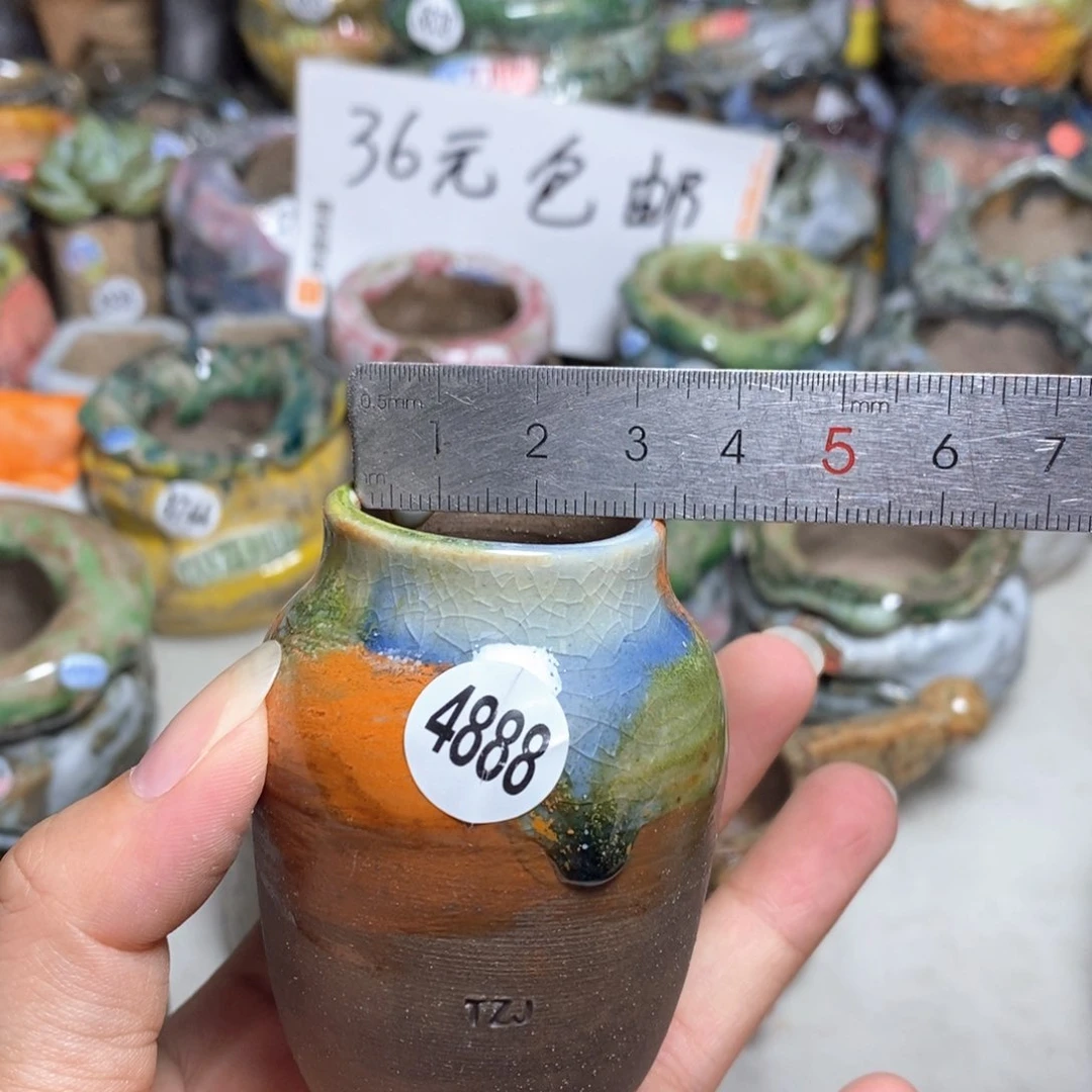 拍5送一个小礼物