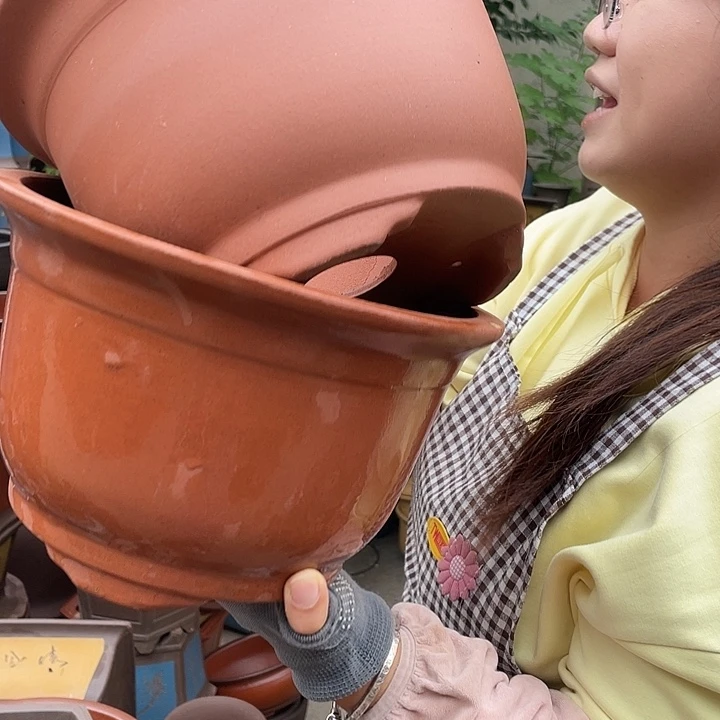 21+21小马花盆紫砂花盆紫砂