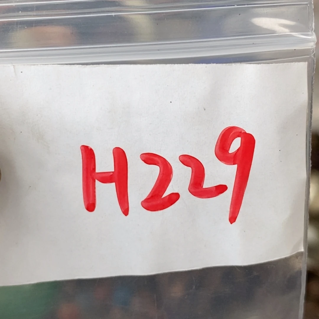 泊***然吊坠龙脊菩提德宝文玩直播间专属链接