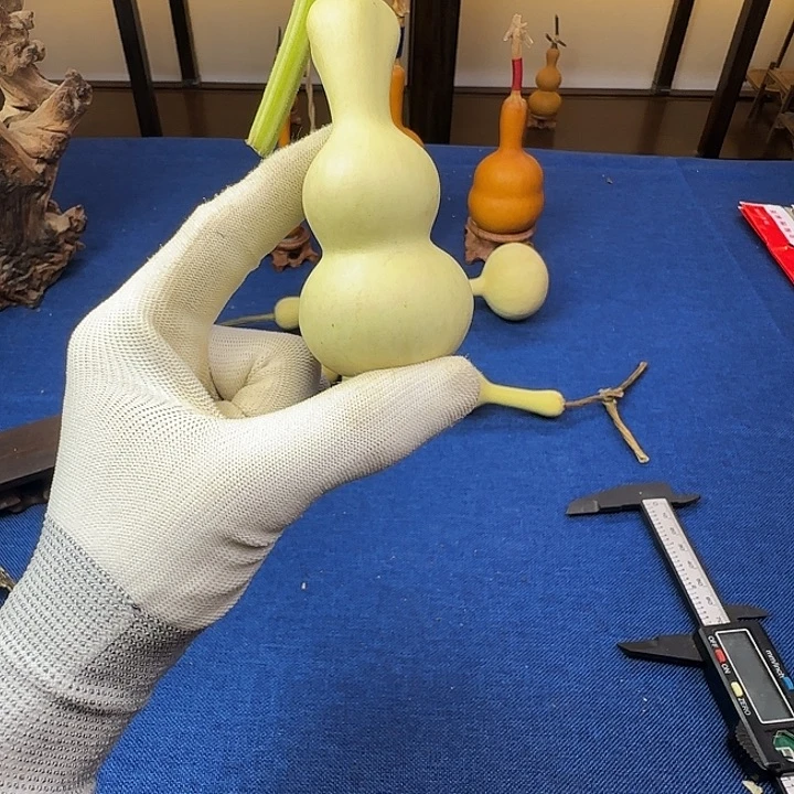 壹***春你在家等着吧你的