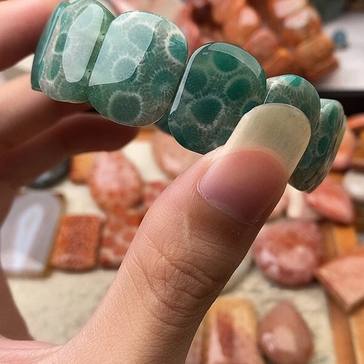 夏***8硅化玉(树化玉)未镶嵌颈饰