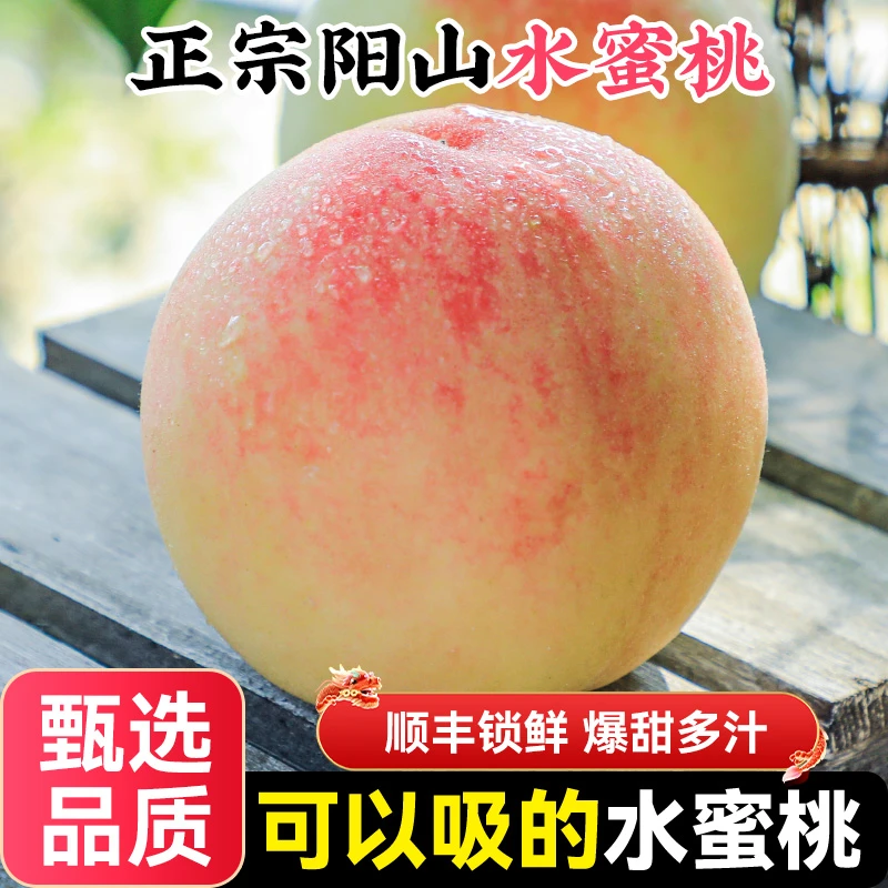【4-5两12个】正宗无锡阳山水蜜桃新鲜水果当季整箱白凤湖景山礼盒