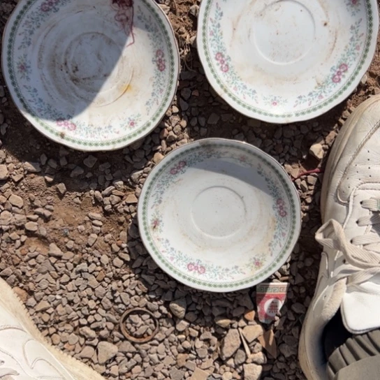 观***堂核桃木/黑胡桃（胡桃木）