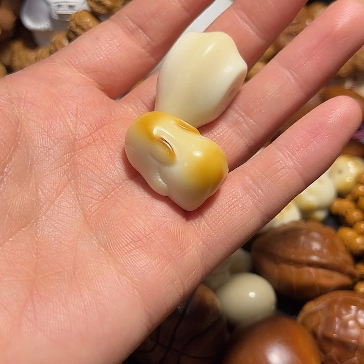 橄榄核手串/手链象牙果2颗