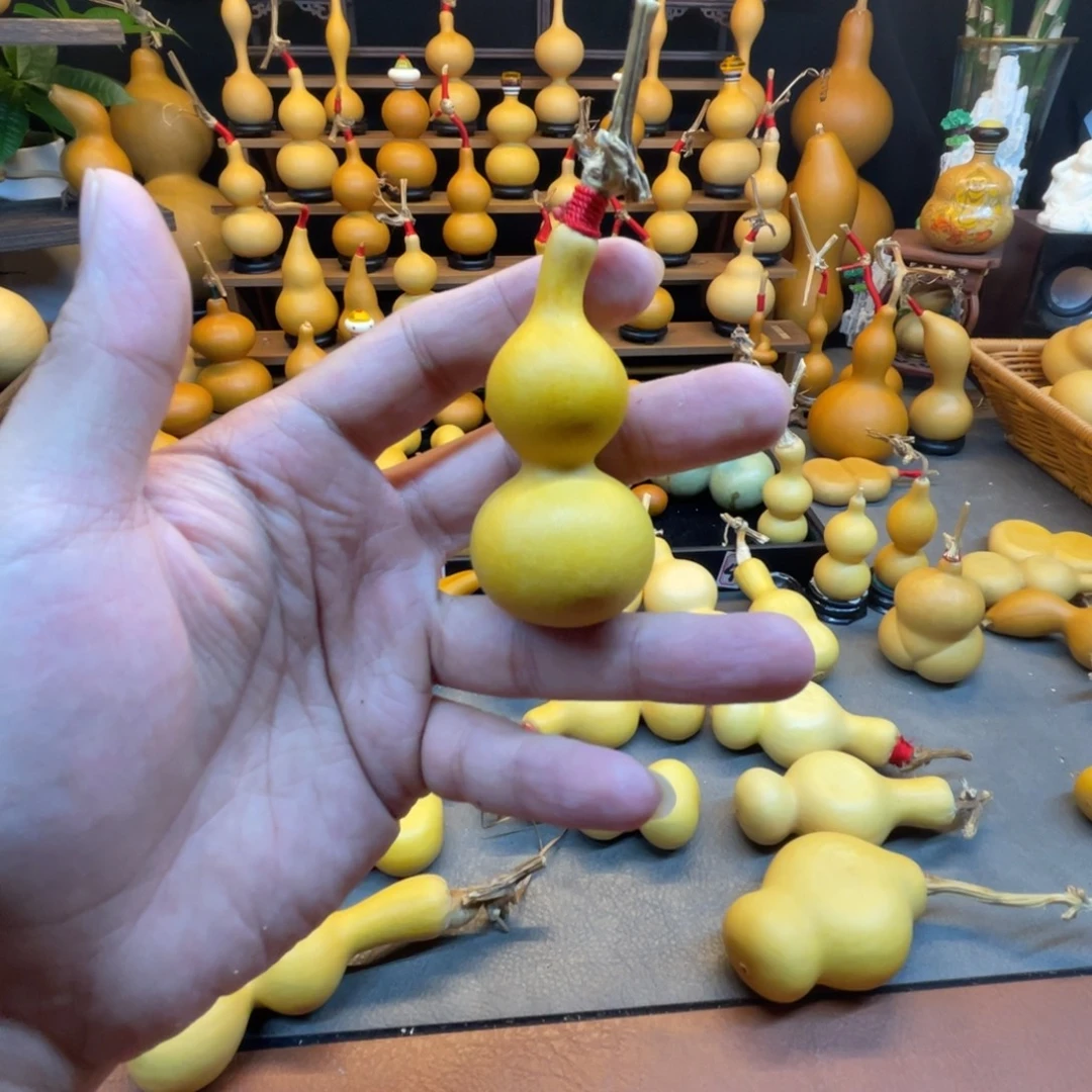 文***)柒寶直播专属链接