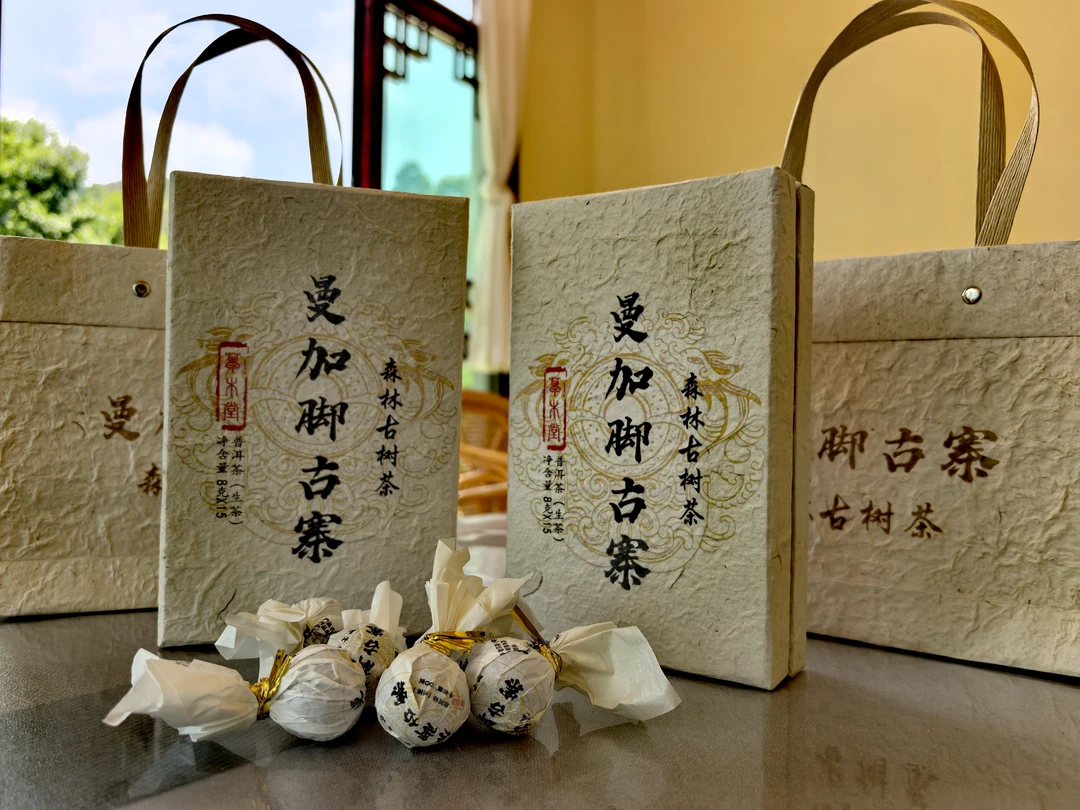 曼加脚古寨龙珠 森林古树茶